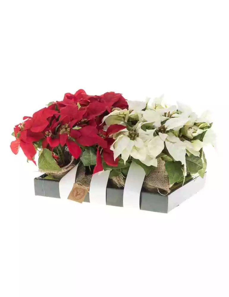 Joulutähti 3-kukan 23 cm