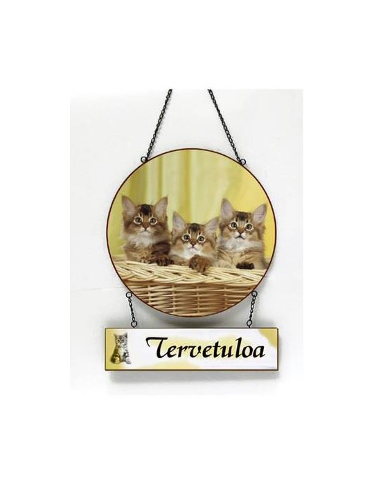 Tervetuloa -kyltti kissat