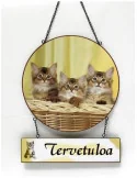 Tervetuloa -kyltti kissat