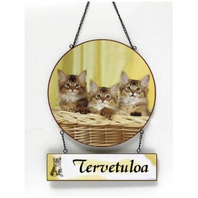 Tervetuloa -kyltti kissat