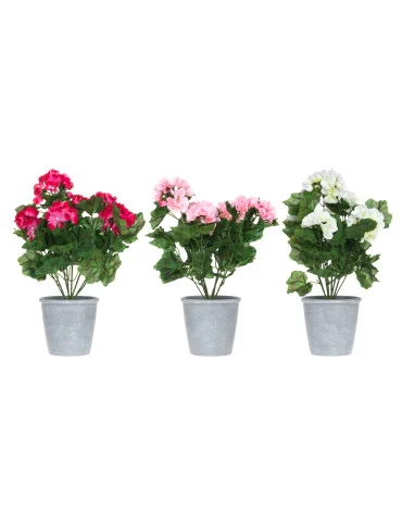 Pelargonia ruukussa 39 cm 4Living