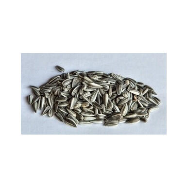 Auringonkukan siemenet 2,5 kg