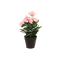 Begonia 28 cm, 4Living Begonia 28 cm, 4Living