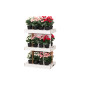 Begonia 28 cm, 4Living Begonia 28 cm, 4Living