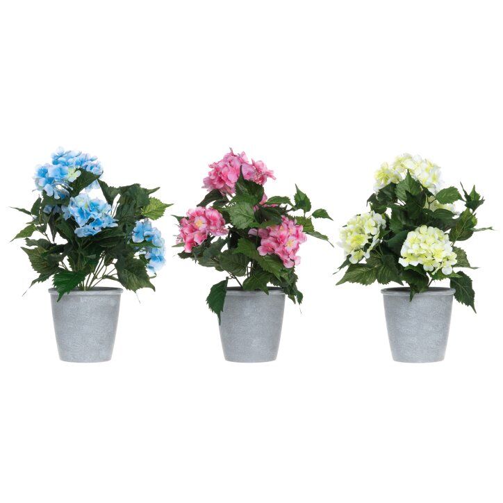 Hortensia 42 cm ruukussa, 4Living