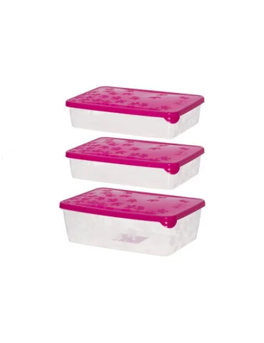 Pakasterasiat 2x0,9 l ja 1,35 l Marjukka