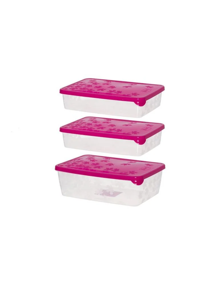 Pakasterasiat 2x0,9 l ja 1,35 l Marjukka