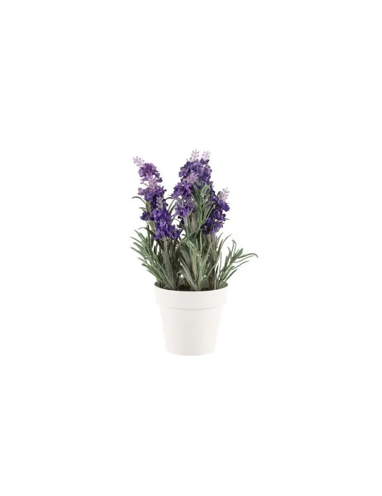 Laventeli 26 cm 4Living