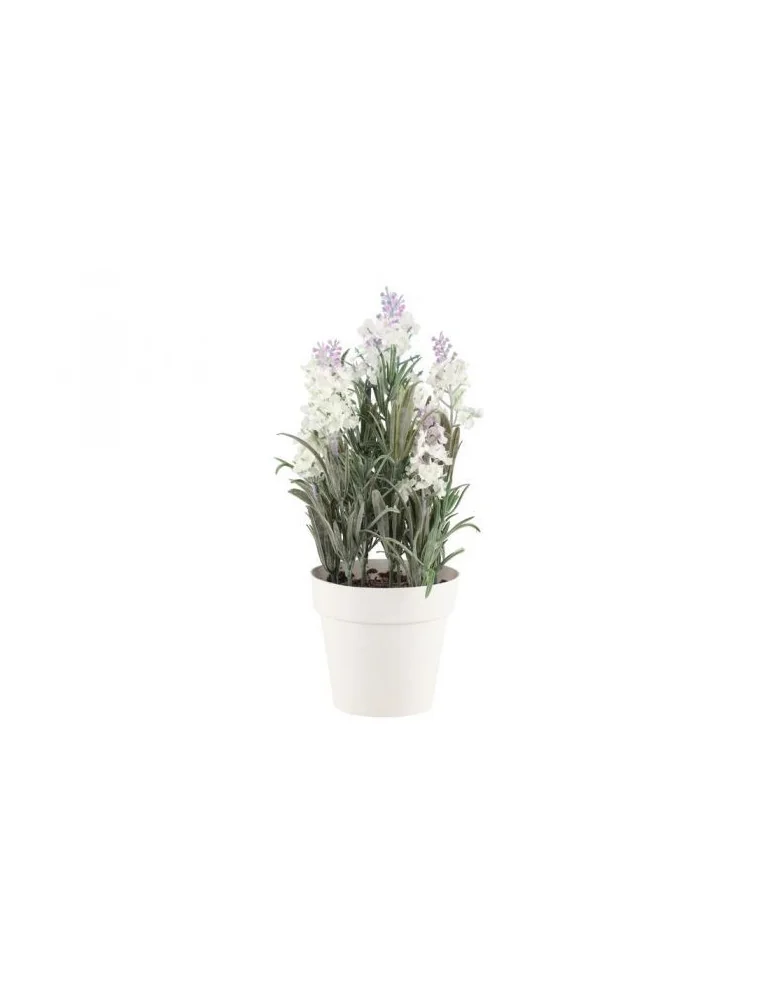 Laventeli 26 cm 4Living