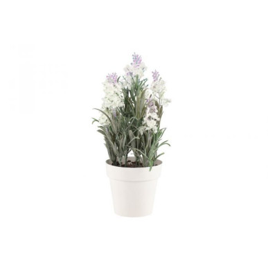 Laventeli 26 cm 4Living