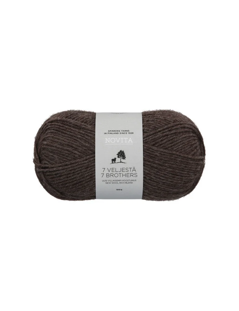 7 Veljestä 100g 064 korvasieni Novita