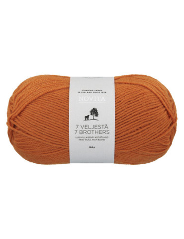 7 Veljestä 100g 273 hapero Novita