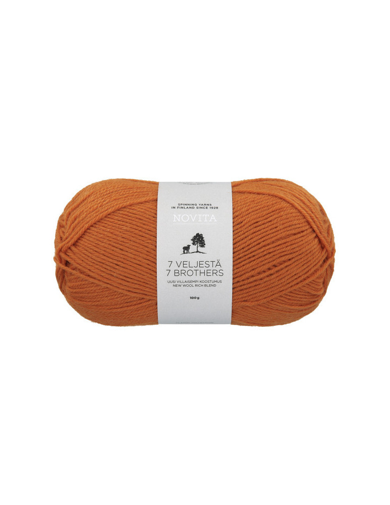 7 Veljestä 100g 273 hapero Novita 7 Veljestä 100g 273 hapero Novita