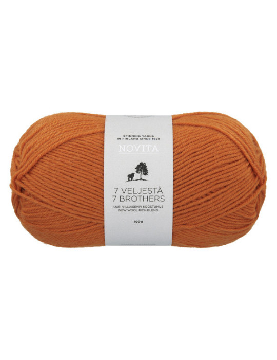 7 Veljestä 100g 273 hapero Novita