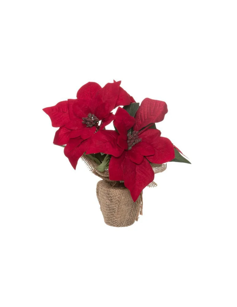 Joulutähti 3-kukan 25 cm punainen Winteria