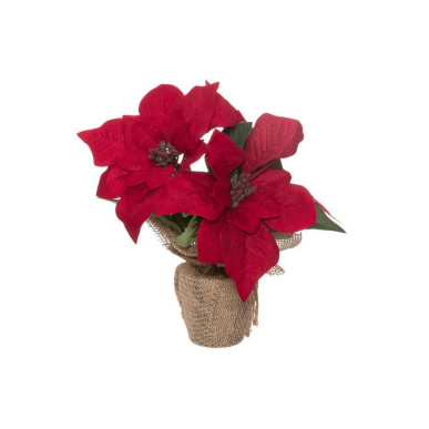 Joulutähti 3-kukan 25 cm punainen Winteria