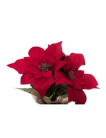 Joulutähti 3-kukan 25 cm punainen Winteria 2