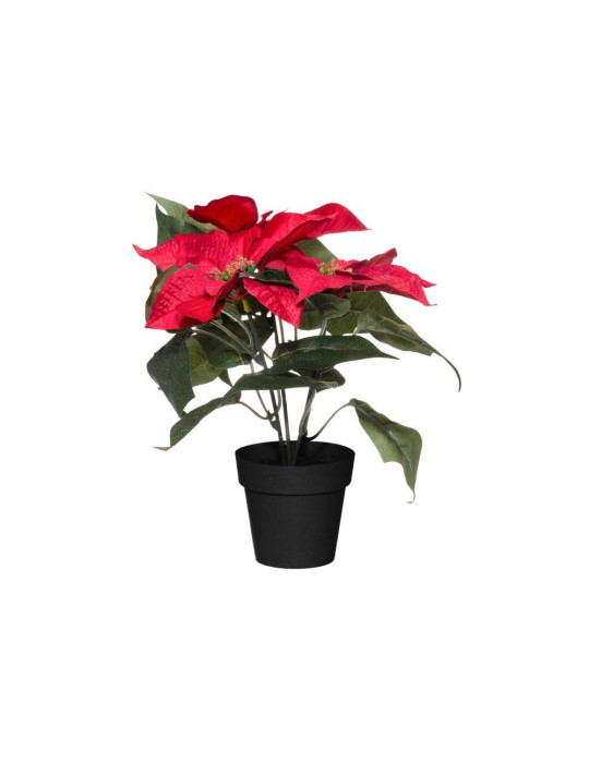 Joulutähti ruukussa punainen 30 cm Winteria