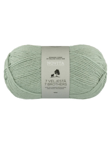 7 Veljestä 100g 305 kaaliperhonen Novita