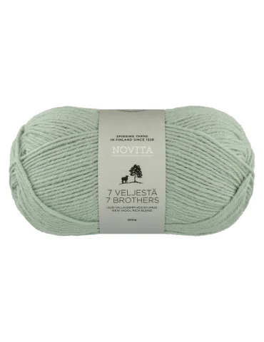 7 Veljestä 100g 305 kaaliperhonen Novita