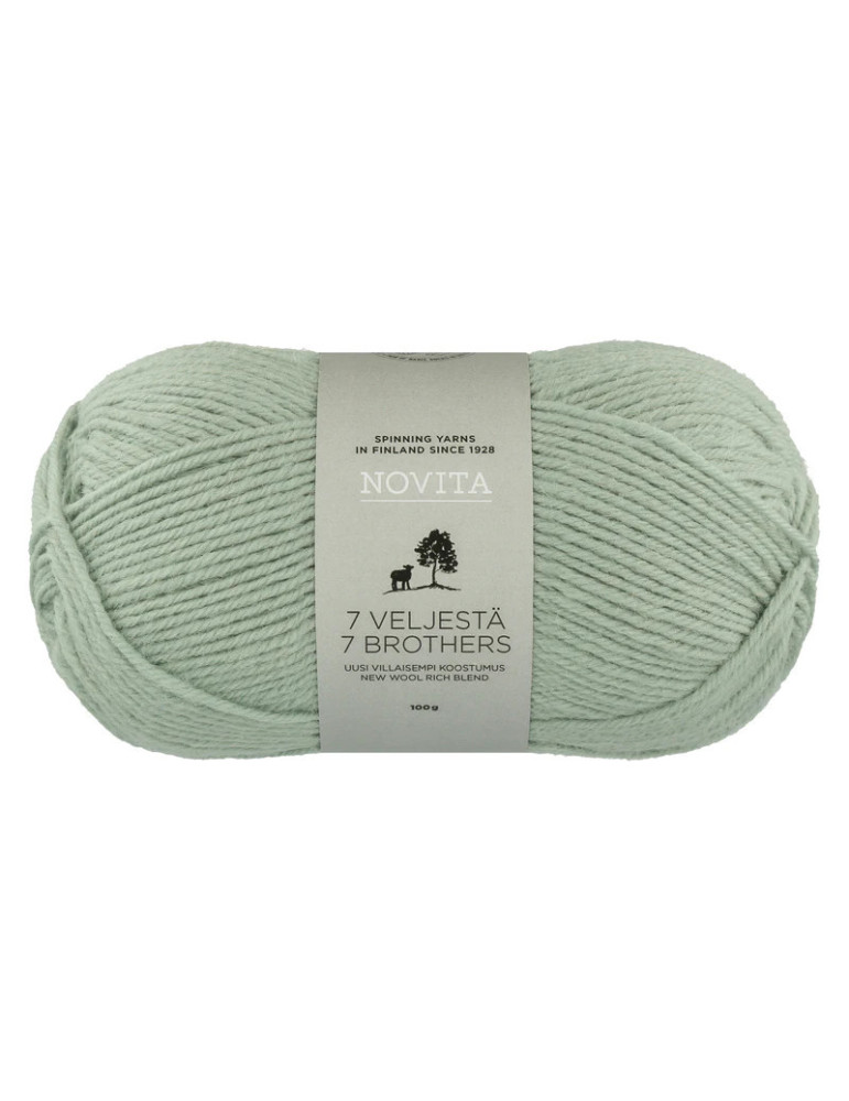 7 Veljestä 100g 305 kaaliperhonen Novita