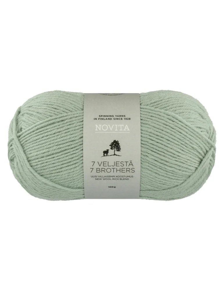 7 Veljestä 100g 305 kaaliperhonen Novita