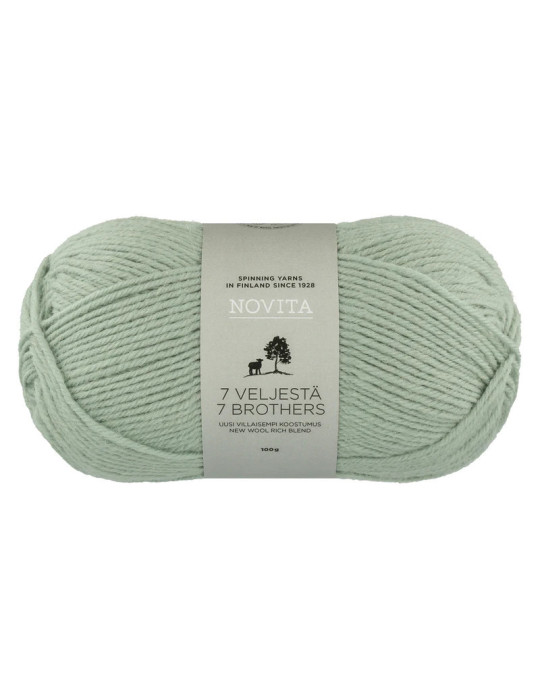 7 Veljestä 100g 305 kaaliperhonen Novita