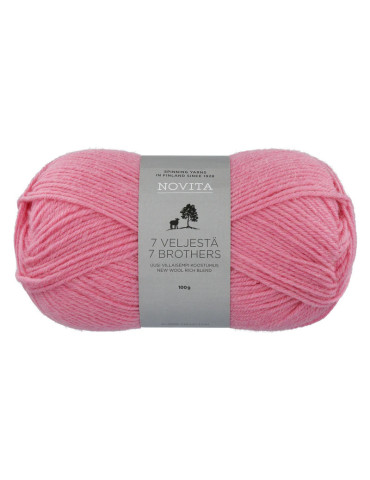 7 Veljestä 100g 510 karamelli Novita