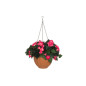 Begonia-amppeli pinkki Begonia-amppeli pinkki