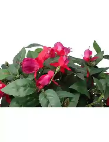 Verenpisara amppelissa 22 cm 2