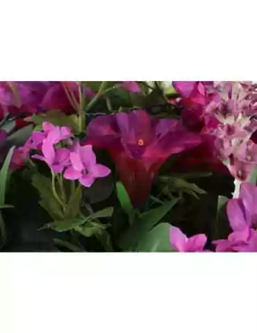 Kesäkukkamix amppelissa 2