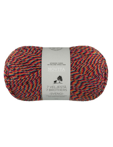 7 veljestä Svengi karnevaali 8221