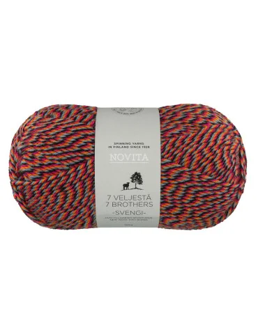 7 veljestä Svengi karnevaali 8221