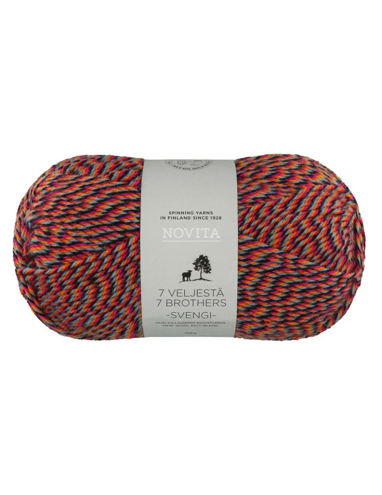 7 veljestä Svengi karnevaali 8221