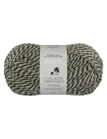 7 veljestä Svengi karuselli 8231