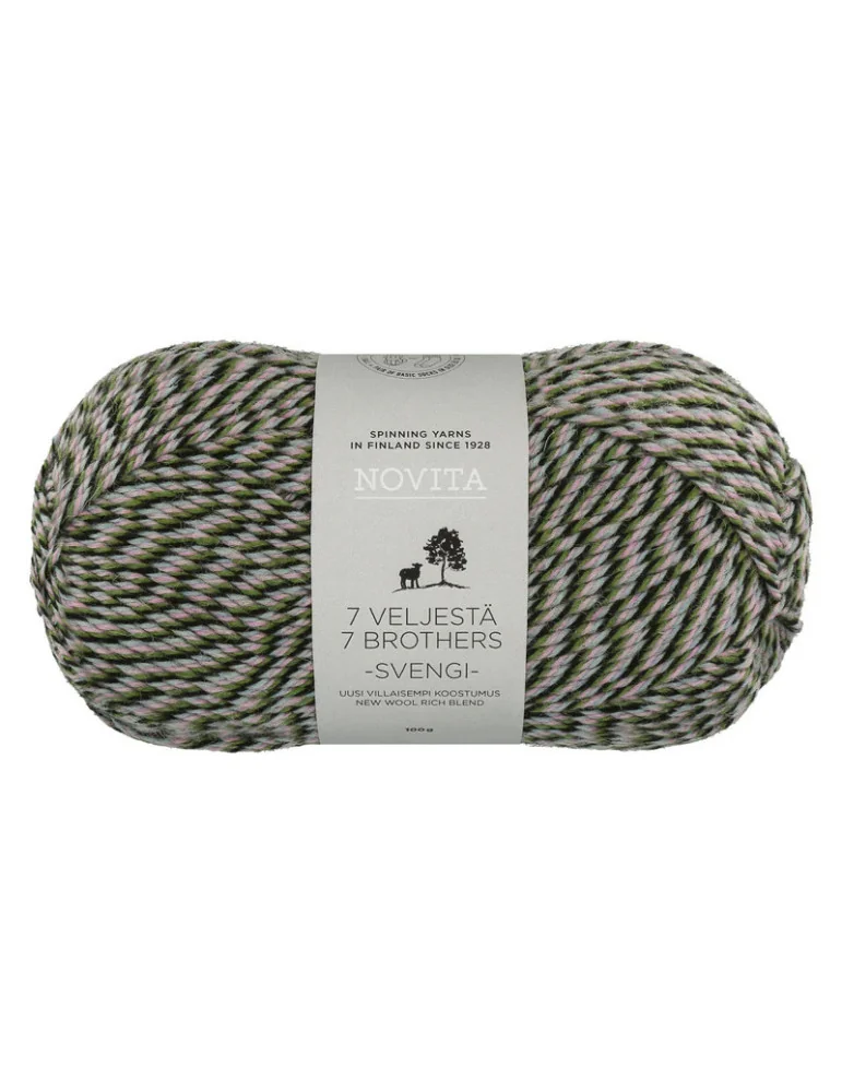 7 veljestä Svengi karuselli 8231