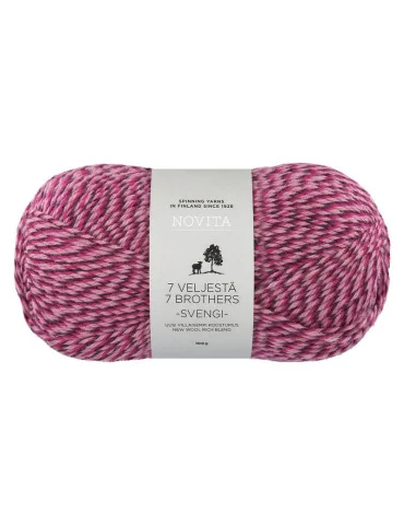 7 veljestä Svengi Mehujää 8131