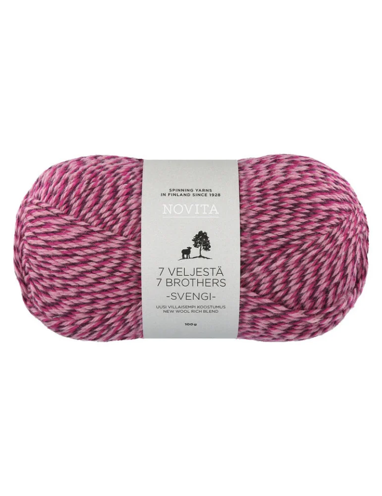 7 veljestä Svengi Mehujää 8131